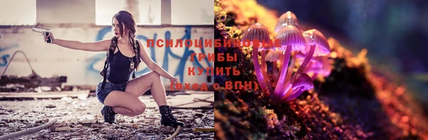 прущие грибы Армянск