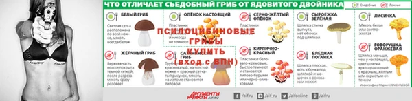 a pvp Арсеньев
