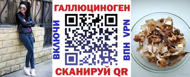 где купить   Приозерск  Галлюциногенные грибы Magic Shrooms 